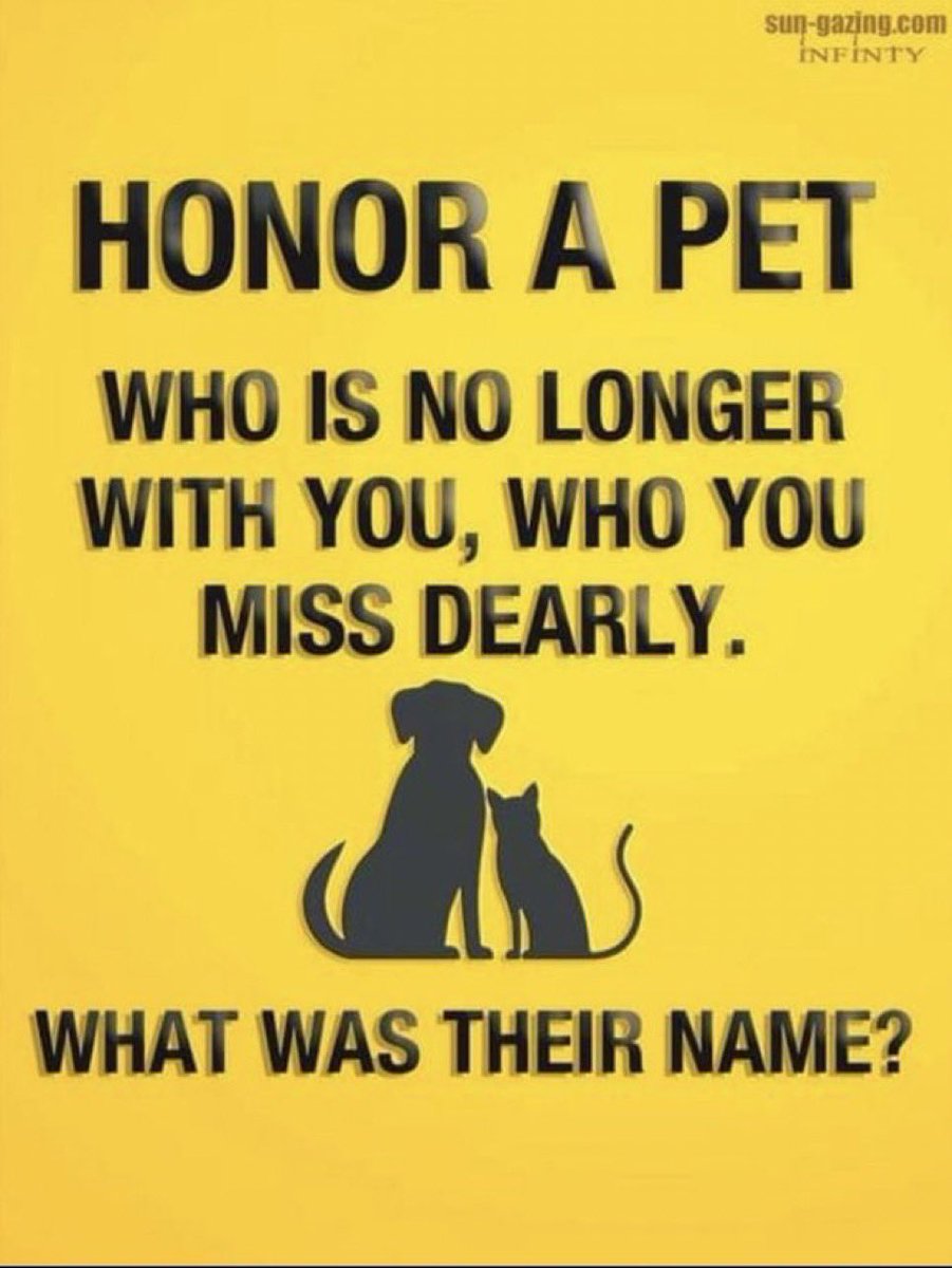 Dave Wilber tweet media