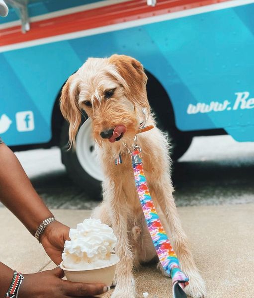 What do you call a dog on the last Gulch Dog Park event of the year?

A Mellon Collie 🐕🦮🐩🐕‍🦺
Grab your furry friends 🐶 and treat them to one last pup cup  of the season 🍧

Wednesday’s Locations (10/5):
📍 The Gulch, Gulch Dog Park 4:30-6:30pm 1216 Pine St, Nashville