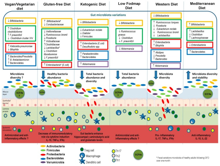 DrMijailTapia's tweet photo. Efecto de diferentes patrones alimentarios sobre la microbiota intestinal con variables como diversidad y abundancia https://t.co/nEqzvUZUVh