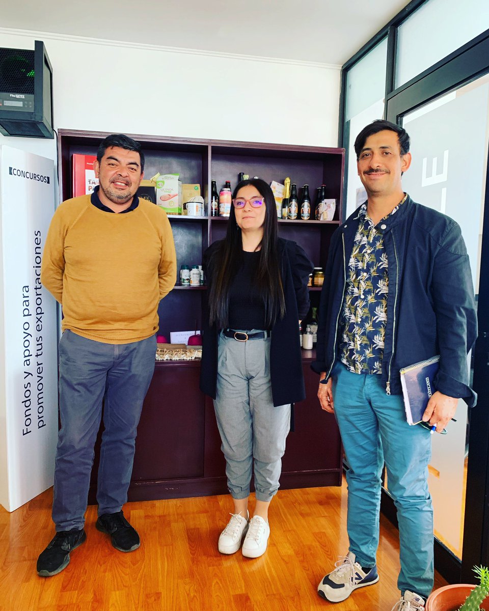 ProChile_T's tweet photo. Nuestra Directora regional @dolivaresmeyer  se reúne con el área internacional de la @MunicipioIqq para planificar las próximas actividades en conjunto. https://t.co/TudoQr9OPd