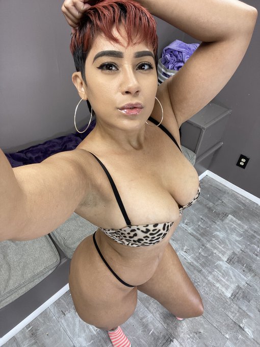 Shooting with my fav @GaryPranzo yes my sock don&rsquo;t match my fit but oh well the floor was cold https://t<a class="tags" target="_blank" title="On Twitter" href="/?out=eyJ0eXAiOiJKV1QiLCJhbGciOiJIUzUxMiJ9.eyJpYXQiOjE3Mjk2NDExNzcsImlzcyI6InR3cG9ybnN0YXJzLmNvbSIsIm5iZiI6MTcyOTY0MTE3NywiZXhwIjoxNzYxMTc3MTc3LCJyZWRpcmVjdF91cmwiOiJodHRwczovL3R3aXR0ZXIuY29tL0dhcnlQcmFuem8ifQ.OemFMWKBNHCgnBZmVRibV1MZS7NCcMwLBhp4_2g39VbTiNna13ImGtFy6pcceu_gr1t9M_zNk3zHug5U0HT1qg">@GaryPranzo</a><a href="/tag/naked"class="tags"><span>#naked</span></a><a href="/tag/bondage"class="tags"><span>#bondage</span></a><a href="/tag/ropes"class="tags"><span>#ropes</span></a><a href="/tag/tapegag"class="tags"><span>#tapegag</span></a><a href="/tag/wraparoundga"class="tags"><span>#wraparoundga</span></a>