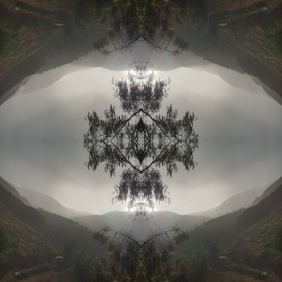 Jean Pierre B. tweet media