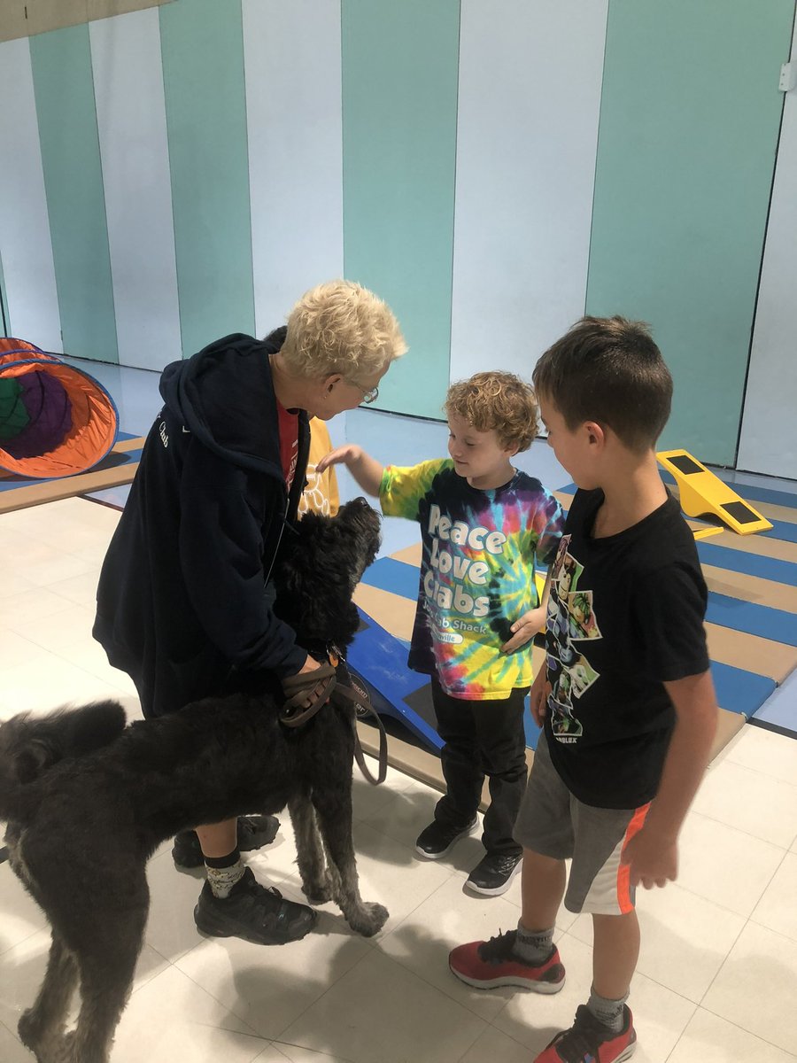 brigschools's tweet photo. Welcome Bailey! She is a 2 year old Bernedoodle, who will be our second Therapy Dog, starting in the near future. 

Before the Henny and Bailey begin, we will be sending home additional paperwork for all families to review. #BrigStrong #therapydog https://t.co/WeDC7jJrkO