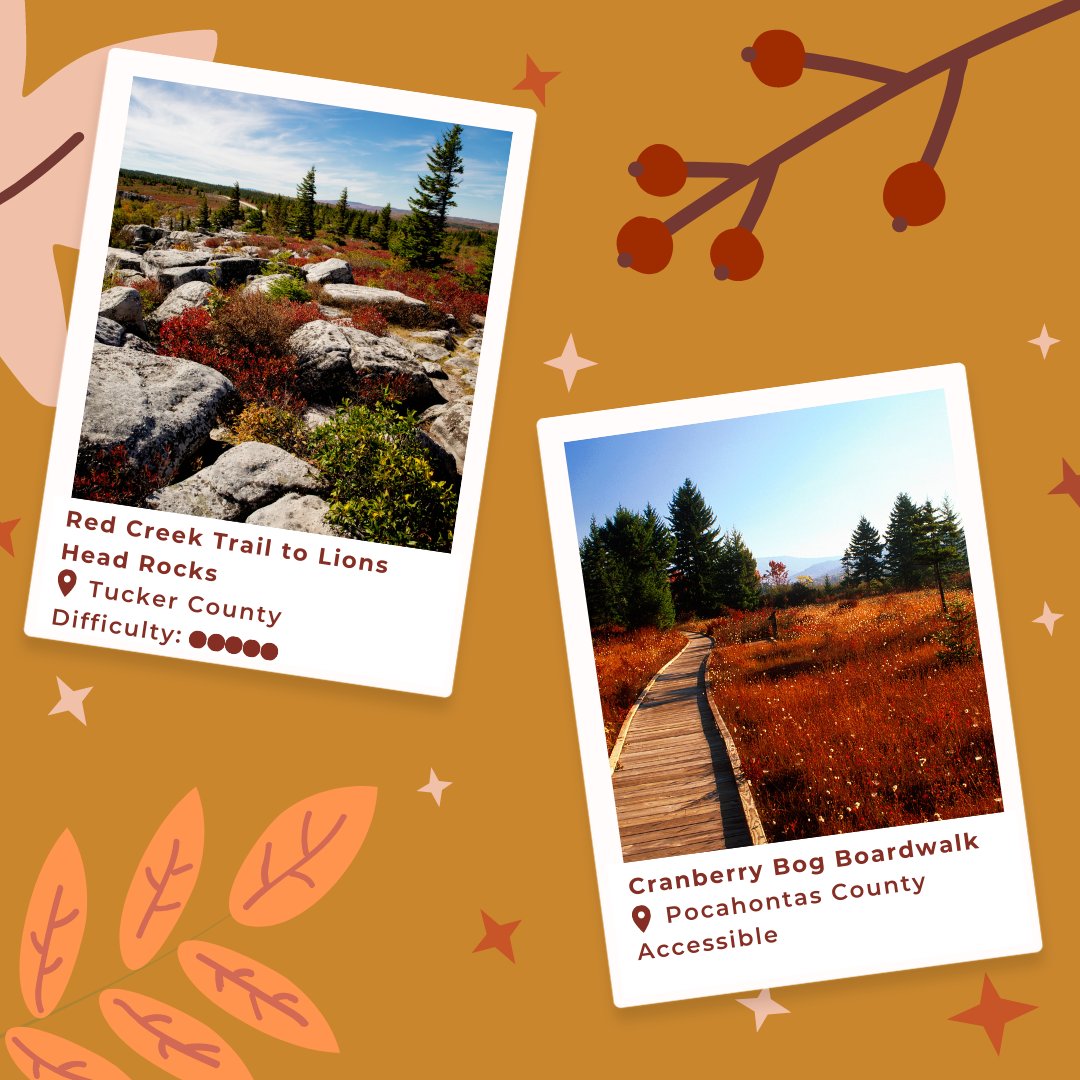 WVtourism's tweet image. This week's fall foliage update is here and vibrant color is starting to arrive in #AlmostHeaven! 🍁 Explore this week’s must-visit trails and view the full report: bit.ly/3T1Tpns.

📸: instagram.com/justin_bevere
📍: Canaan Valley Resort State Park