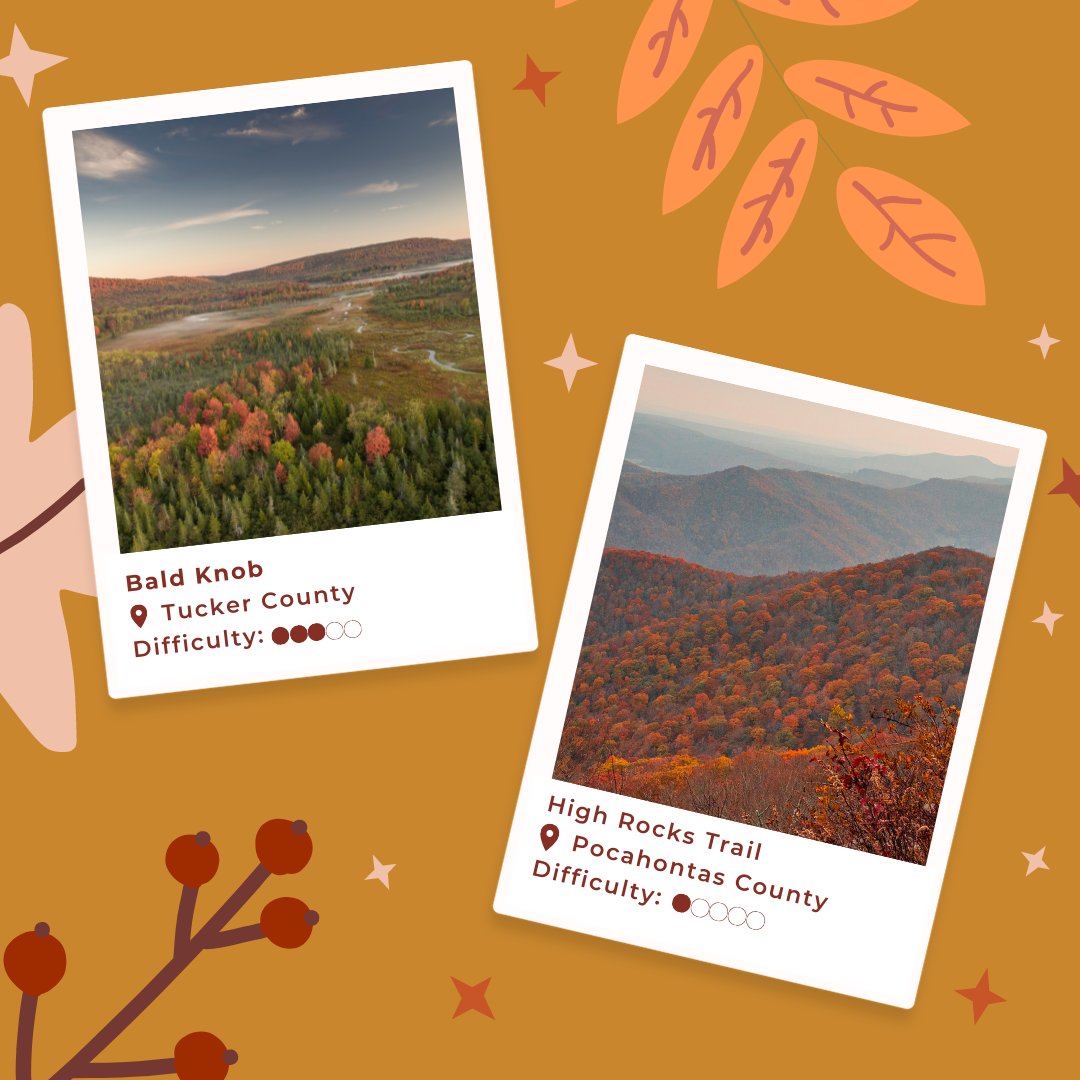 WVtourism's tweet image. This week's fall foliage update is here and vibrant color is starting to arrive in #AlmostHeaven! 🍁 Explore this week’s must-visit trails and view the full report: bit.ly/3T1Tpns.

📸: instagram.com/justin_bevere
📍: Canaan Valley Resort State Park