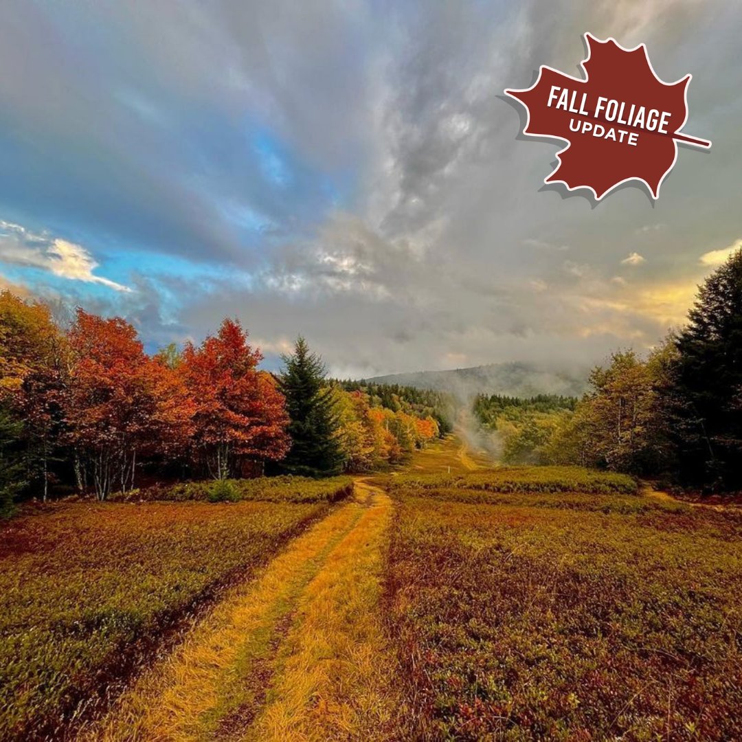 WVtourism's tweet image. This week's fall foliage update is here and vibrant color is starting to arrive in #AlmostHeaven! 🍁 Explore this week’s must-visit trails and view the full report: bit.ly/3T1Tpns.

📸: instagram.com/justin_bevere
📍: Canaan Valley Resort State Park