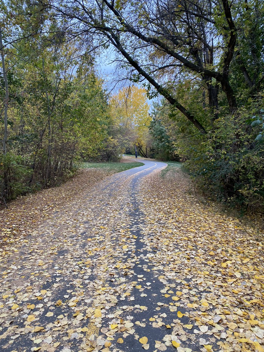 susan_yeg's tweet photo. A walk in the park. #yeg @rob8591 https://t.co/RVc3d4NMlE