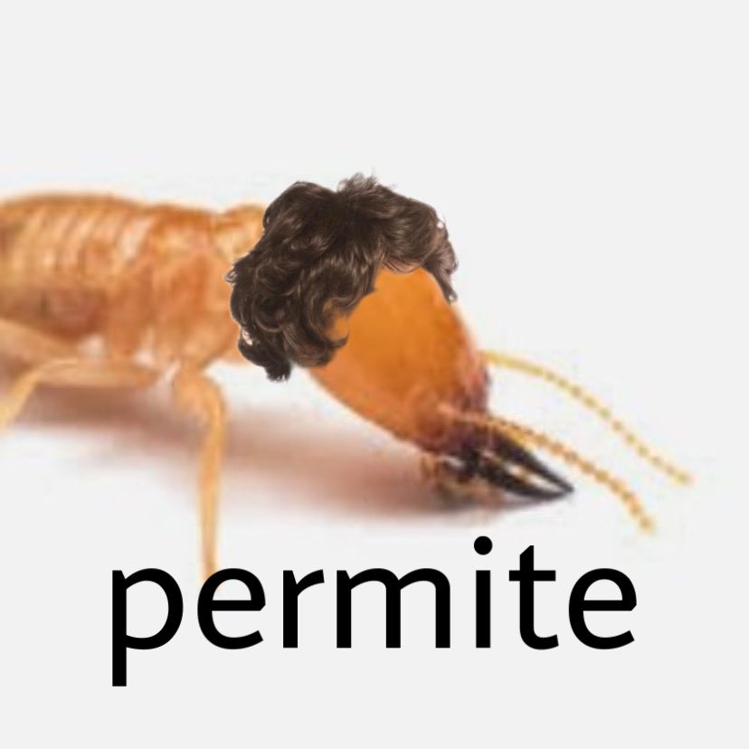termitejack753's tweet photo. @booptheloop https://t.co/jbfOm1GqjZ