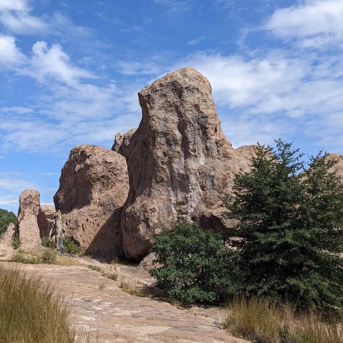 SMNHC1's tweet photo. #EnvironmentalEducators Paul, Fiana, & #volunteer Daniel scouted #CityOfRocksStatePark and taught students in #SilverCity this week. Check our #YouTube channel for the video!
@NMStateParks
#Volcanic #tuff #geology #butterfly #NewMexicoNature https://t.co/BtkZYvHS4n