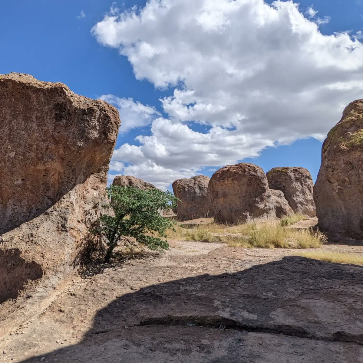 SMNHC1's tweet photo. #EnvironmentalEducators Paul, Fiana, & #volunteer Daniel scouted #CityOfRocksStatePark and taught students in #SilverCity this week. Check our #YouTube channel for the video!
@NMStateParks
#Volcanic #tuff #geology #butterfly #NewMexicoNature https://t.co/BtkZYvHS4n