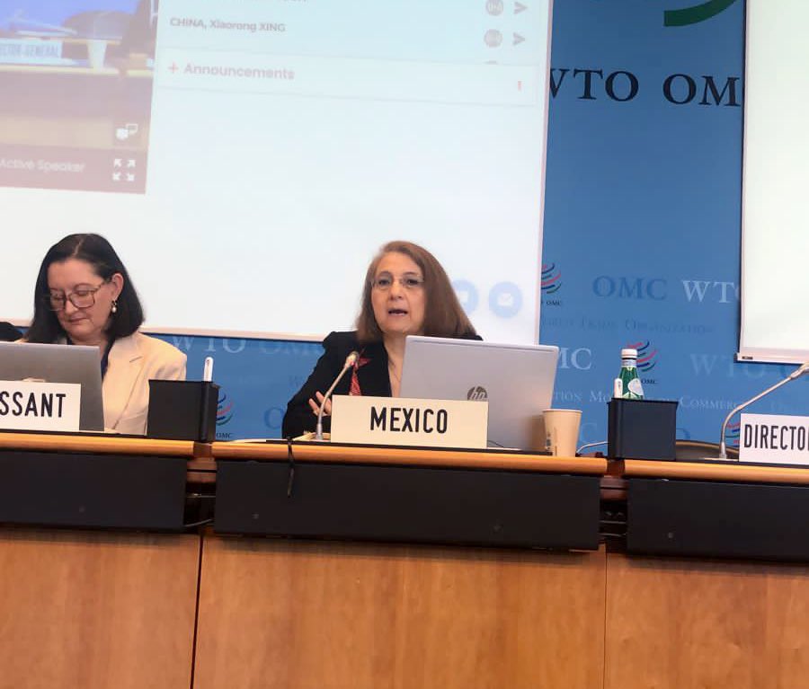 luzmadelamora's tweet photo. Hoy sostuvimos la primera sesión del 7o examen de las políticas comerciales de México ante la @OMC_es, en la que expusimos el entorno económico y comercial de nuestro país durante los últimos cinco años. 
🇲🇽🌎
Les comparto un hilo para detallar nuestra presentación: https://t.co/Yq3wmZsQca