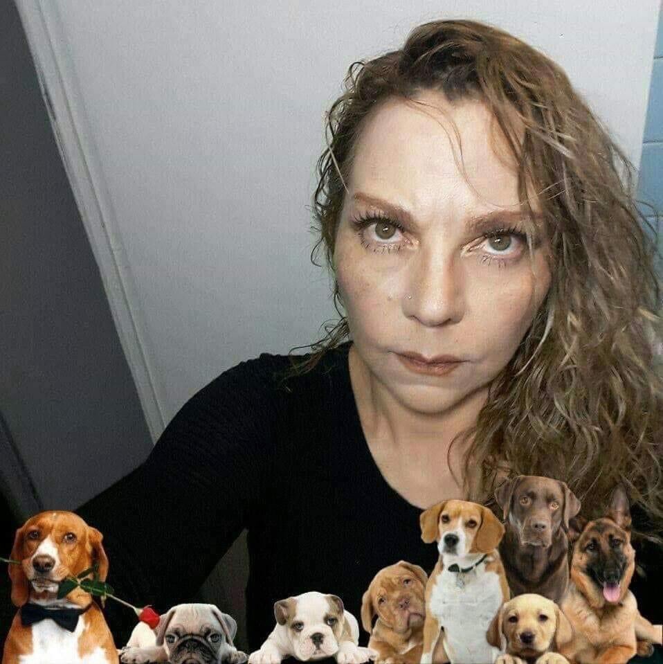 Sherezadadogcat's tweet photo. @Fridaguerrera @louabarca @Desaparecidos05 @AztecaNoticias #AnnTeQueremosViva 
#NiUnaMás 
#NiUnaMenos 
#AnimalistasDesaparecidos https://t.co/8YGAYie9MA