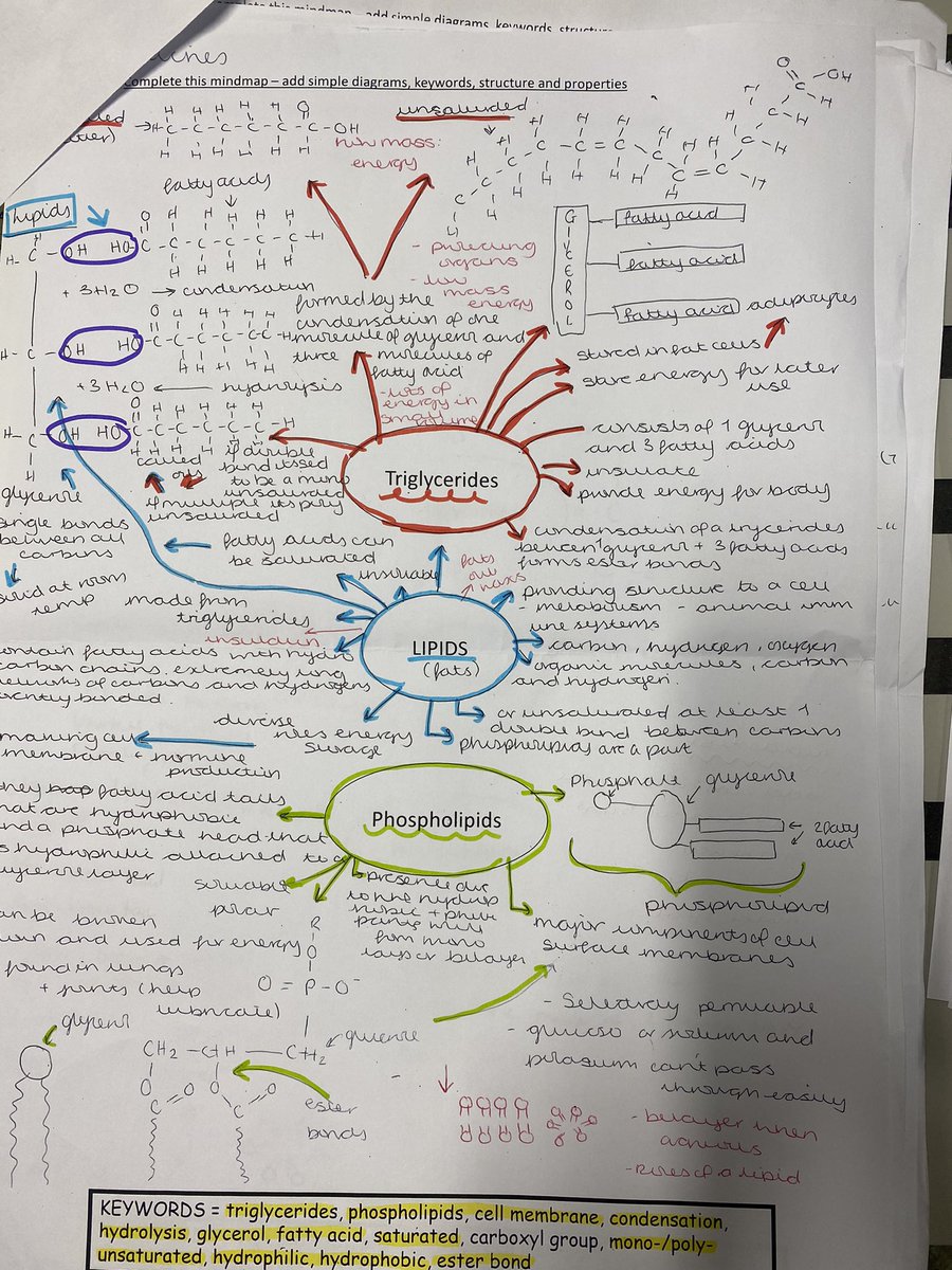 MAScience1's tweet photo. Did you know @MA16_SixthForm offers 5 post-16 Science courses in BS13?
Here’s a sample of this week’s homework from Y12 A-Level Biology about lipids! Superb effort! 🔬🥼🧬🧪🔭😊 #WorkHard #AimHigh #HappyTeacher @victoriastarkie @BristolEdu @trystanpw_ @VenturersTrust @SMVBristol https://t.co/OonXAw7NMl