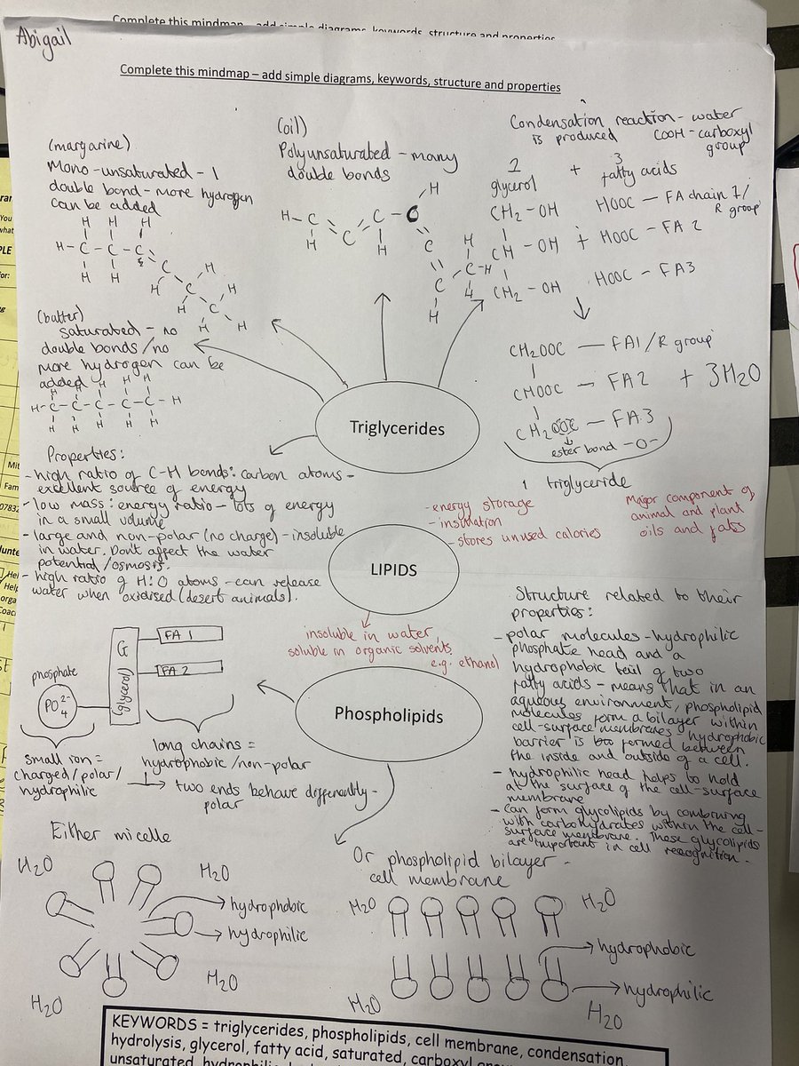 MAScience1's tweet photo. Did you know @MA16_SixthForm offers 5 post-16 Science courses in BS13?
Here’s a sample of this week’s homework from Y12 A-Level Biology about lipids! Superb effort! 🔬🥼🧬🧪🔭😊 #WorkHard #AimHigh #HappyTeacher @victoriastarkie @BristolEdu @trystanpw_ @VenturersTrust @SMVBristol https://t.co/OonXAw7NMl