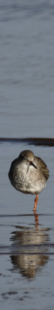 Tim Ridgeway tweet media