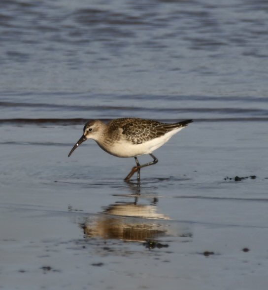 Tim Ridgeway tweet media