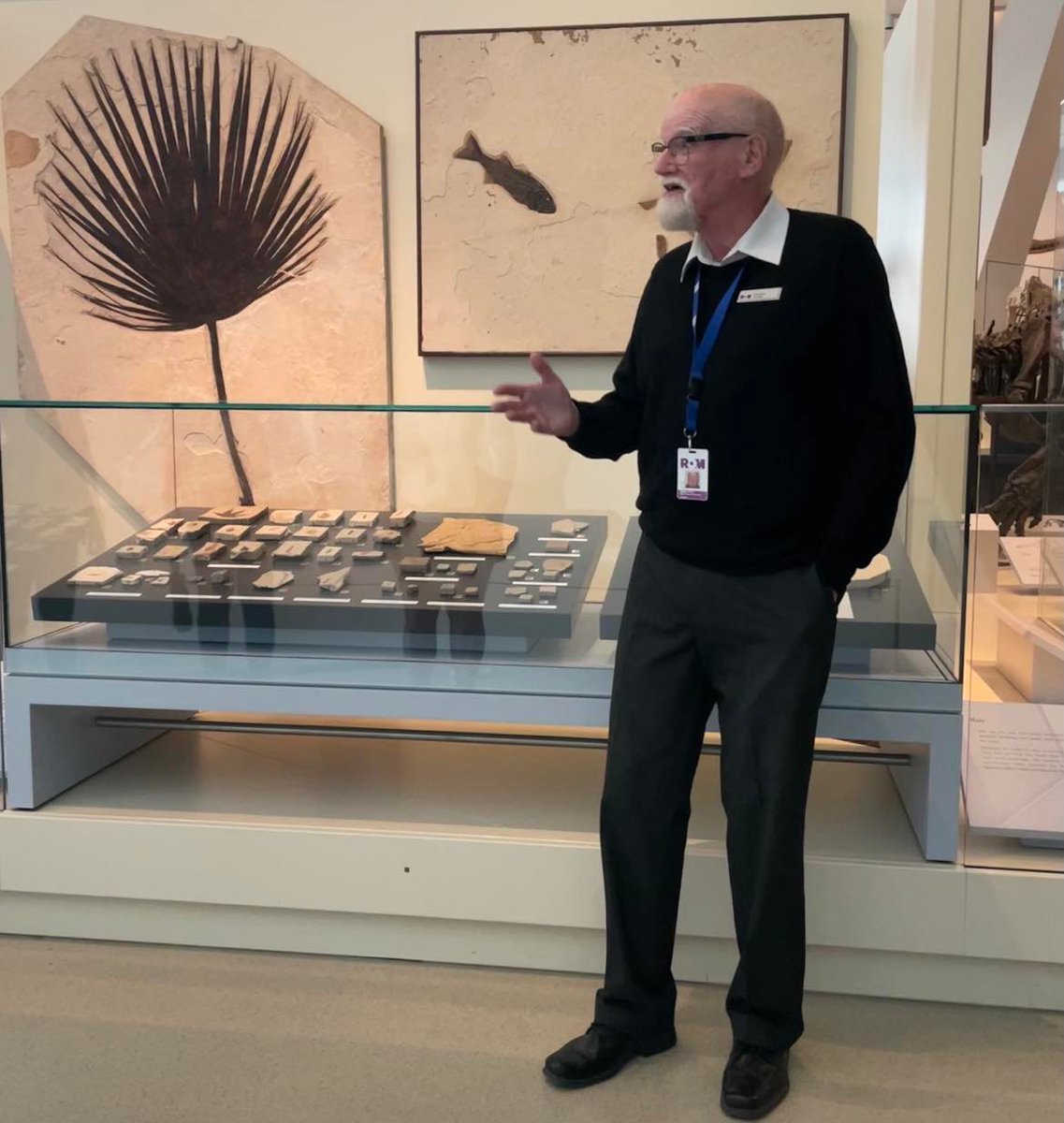 Royal Ontario Museum tweet media