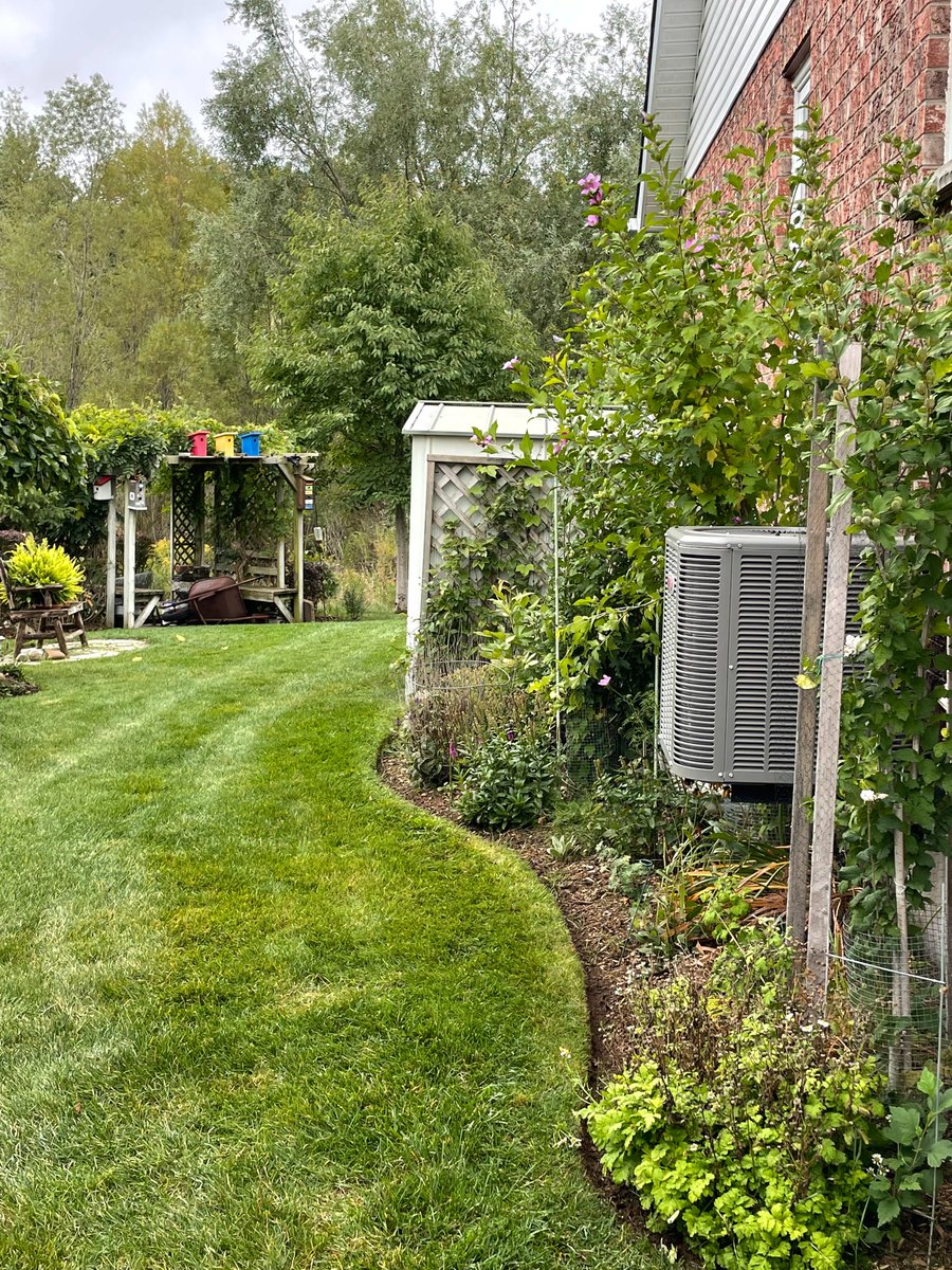 nuimageinc's tweet photo. Backyard gardens, edges and grass looking good. https://t.co/5VyGxmaHCd