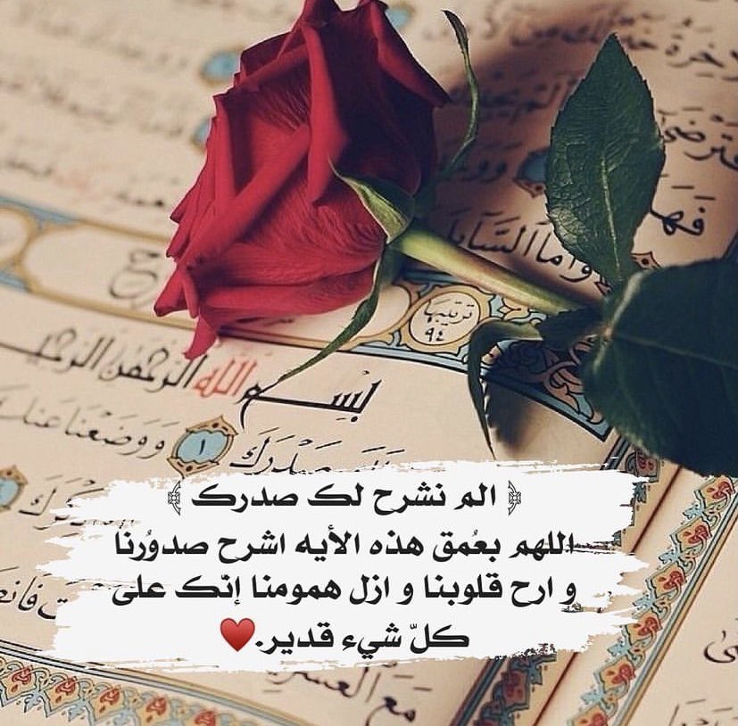 بنت الأصايل💕💕 (@bntalkuwait110) on Twitter photo 