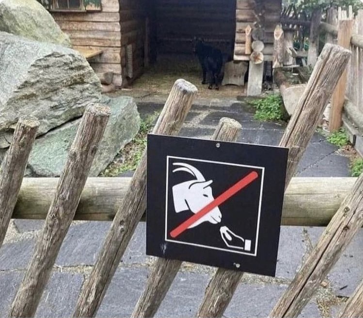 pyrameadhead's tweet photo. Do NOT speak Italian to Black Phillip https://t.co/Ad27omHqhp