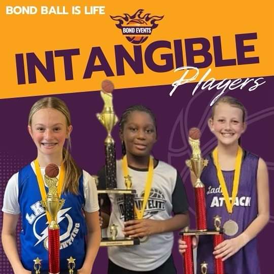 Our very own <a href="/PresleeDula/">Preslee Dula</a> was selected as an Intangible Player for this past tournment in the MS Division! Great Job!