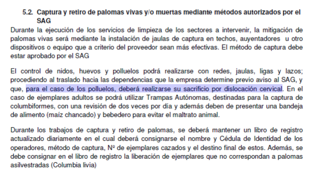 shesholastra's tweet photo. @PauliVillalobos @iam_pino @gondan06 Como cualquier animal que ande suelto. No sólo "salvajes": perros y gatos, por ejemplo. Dañinos animales que deberían ser eliminados, tal como hace @metrodesantiago con las palomas.

A las adultas las cazan. Y a los polluelos, les tuercen el cogote #SaludPública @nico_cataldo https://t.co/IPaCYuHcy1