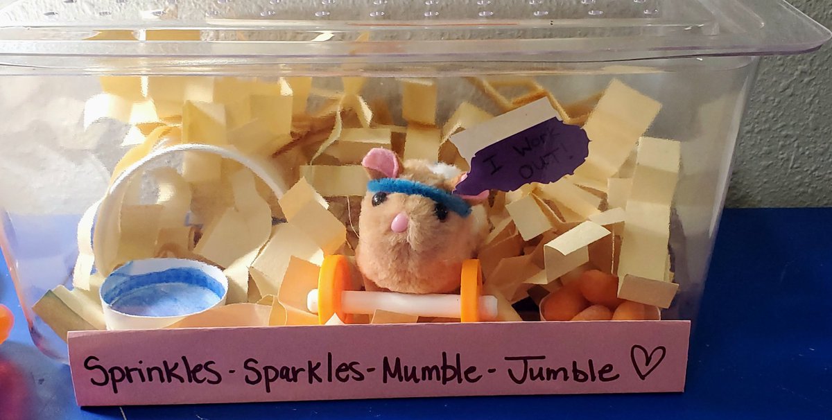 Sprinkles Sparkles Mumble Jumble, our class pet, made some healthy choices today. She had carrots and a good workout. #DavisDriven