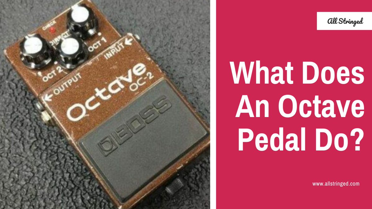 AllStringed's tweet image. Click here and find out what does an #octavepedal do and how it can elevate your #guitar performance!

allstringed.com/what-does-an-o…