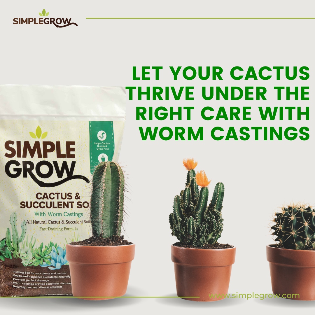 Simple Grow tweet media