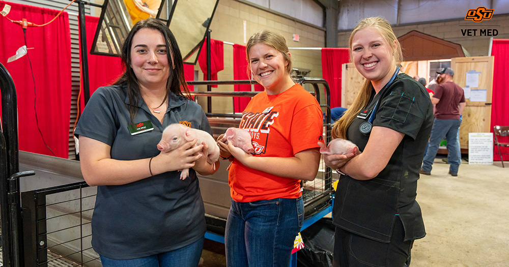 Our faculty, staff and students volunteered at the Birthing Center at the Oklahoma State Fair and Tulsa State Fair. They were able to assist with deliveries, care for the animals and communicate with fairgoers about agriculture and veterinary medicine.