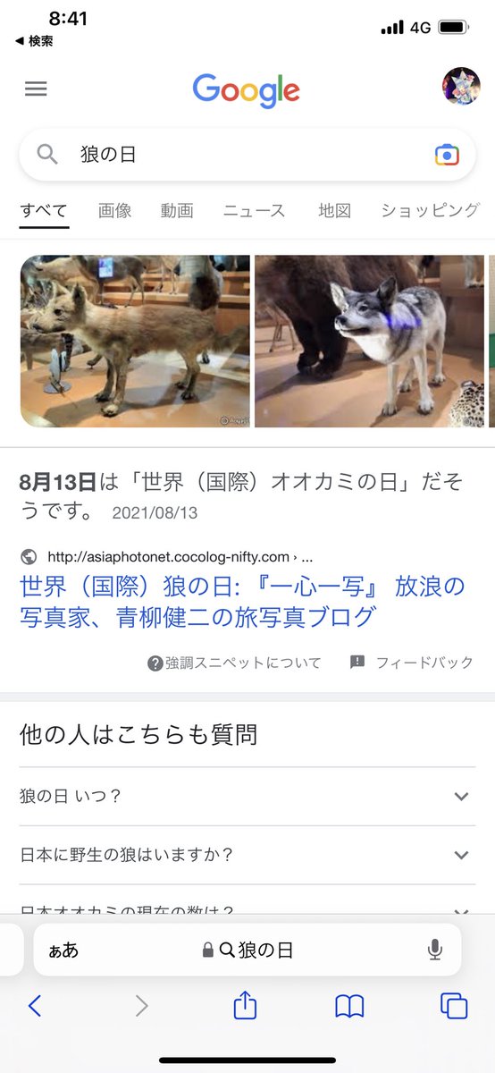 princesschoco15's tweet photo. @nekotokoyomi 天狐の日というものがあるのですね😳
おめでとうございます㊗️

狼の日もあるんじゃないのかなー？と思って探してみたらありました🐺８／13らしいという😅
来年は祝わないと😅 https://t.co/Zmfi3KEv5c