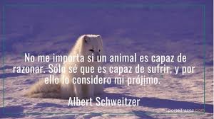 QuotesThatInsp's tweet photo. Pues no deseen a su prójimo de otra especie lo que no quisiera para sí mismo. Sí a la Ley de Protección Animal. @NunezFeijoo @cucagamarra @vox_es @VOX_Congreso #PPVOXvotanMaltratoAnimal
y @AITOR_ESTEBAN @andoniortuzar @eajpnv también. https://t.co/dbLHmAbG9x