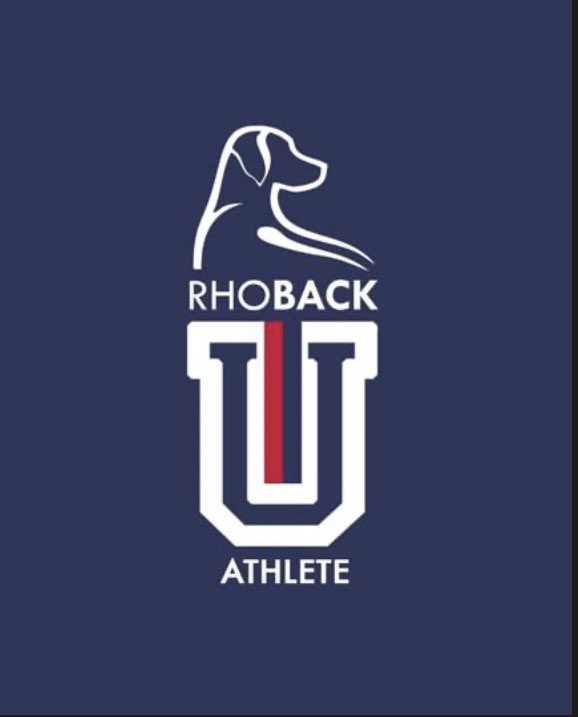 _the_neil's tweet photo. Super excited to announce my partnership with @rhoback, my absolute favorite brand for athleisure  wear. Get 10% off of your first purchase and support me and rhoback by using the link below https://t.co/PlZD2AvlJD https://t.co/idH49ZU5ee