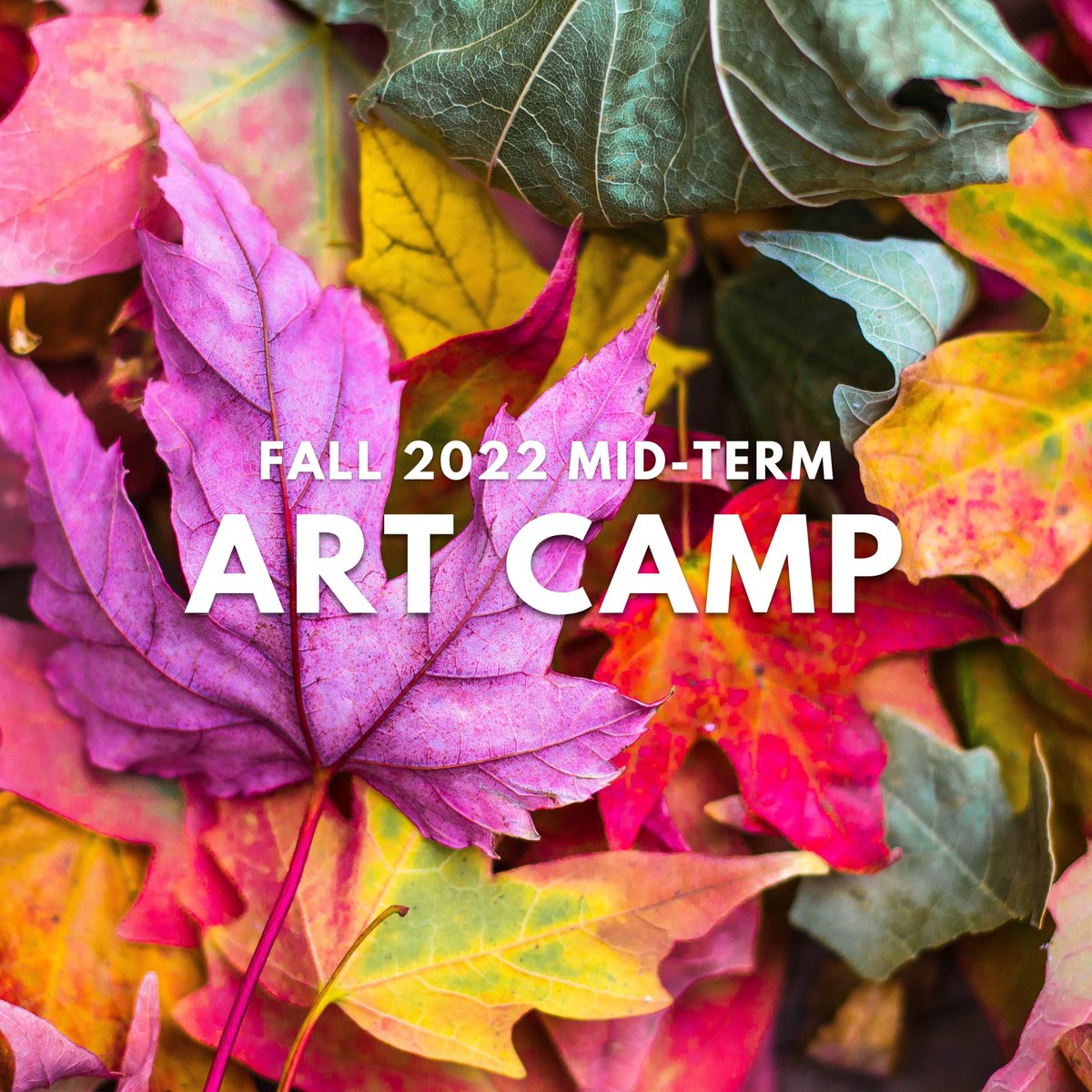 MasterworksMOBA's tweet photo. Registration for our Fall camp is now OPEN!

This October, campers will enjoy a full week of Fall/Autumn themed art crafts and painting projects.Visit the link below to register! 

https://t.co/xPF1b4mMmo

#fall #midterm #artcamp #artseducation #artsforall #masterworksmuseum https://t.co/FLFNJNY91V
