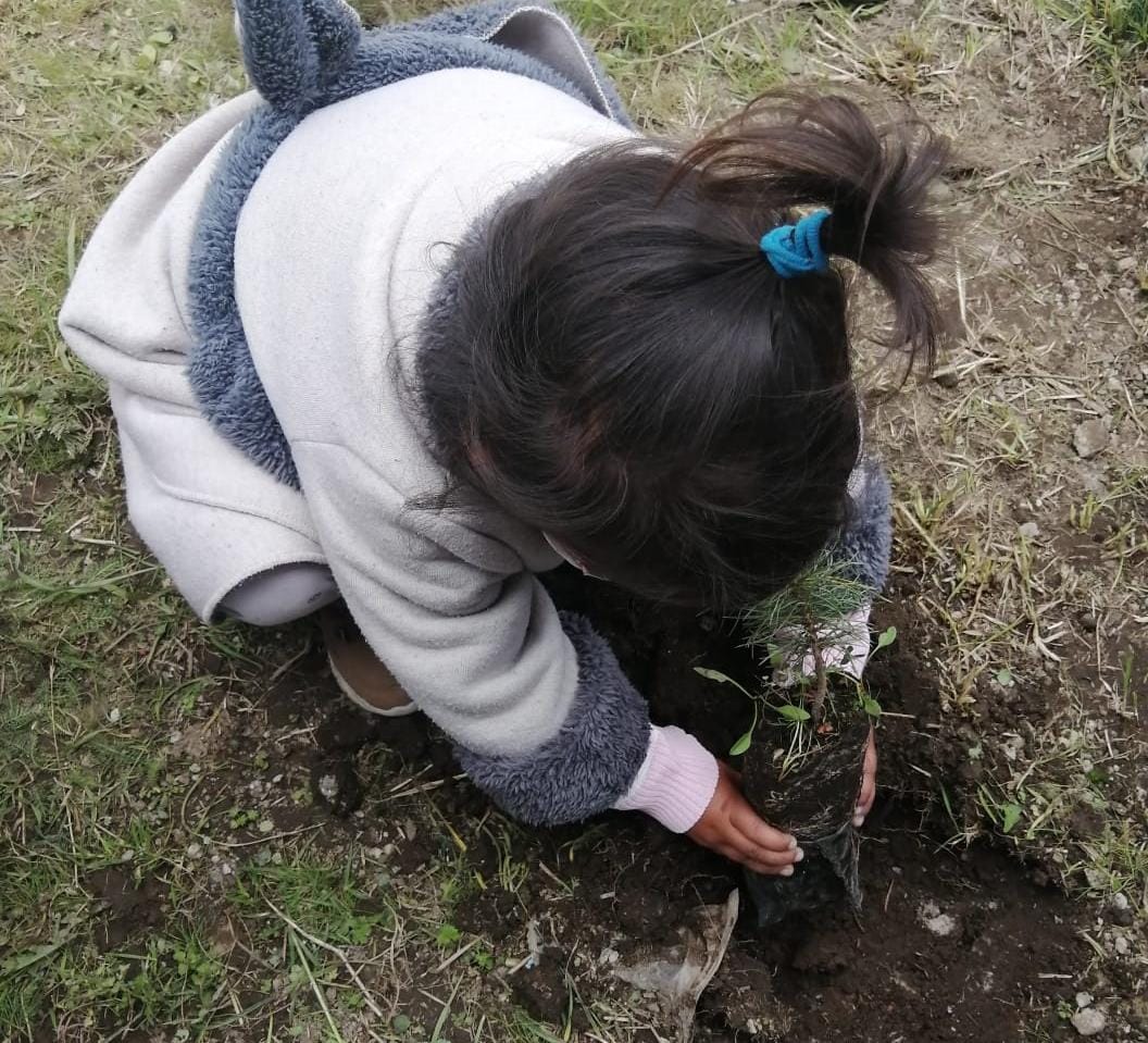 Amboruiz's tweet photo. Campaña de reforestación "Un árbol, un alumno, un futuro" en la zona escolar J078
@TinocoGRogelio 
@SEB Edomex
@Probosque_ 
@CampoEdomex https://t.co/5F4kjAb6QC