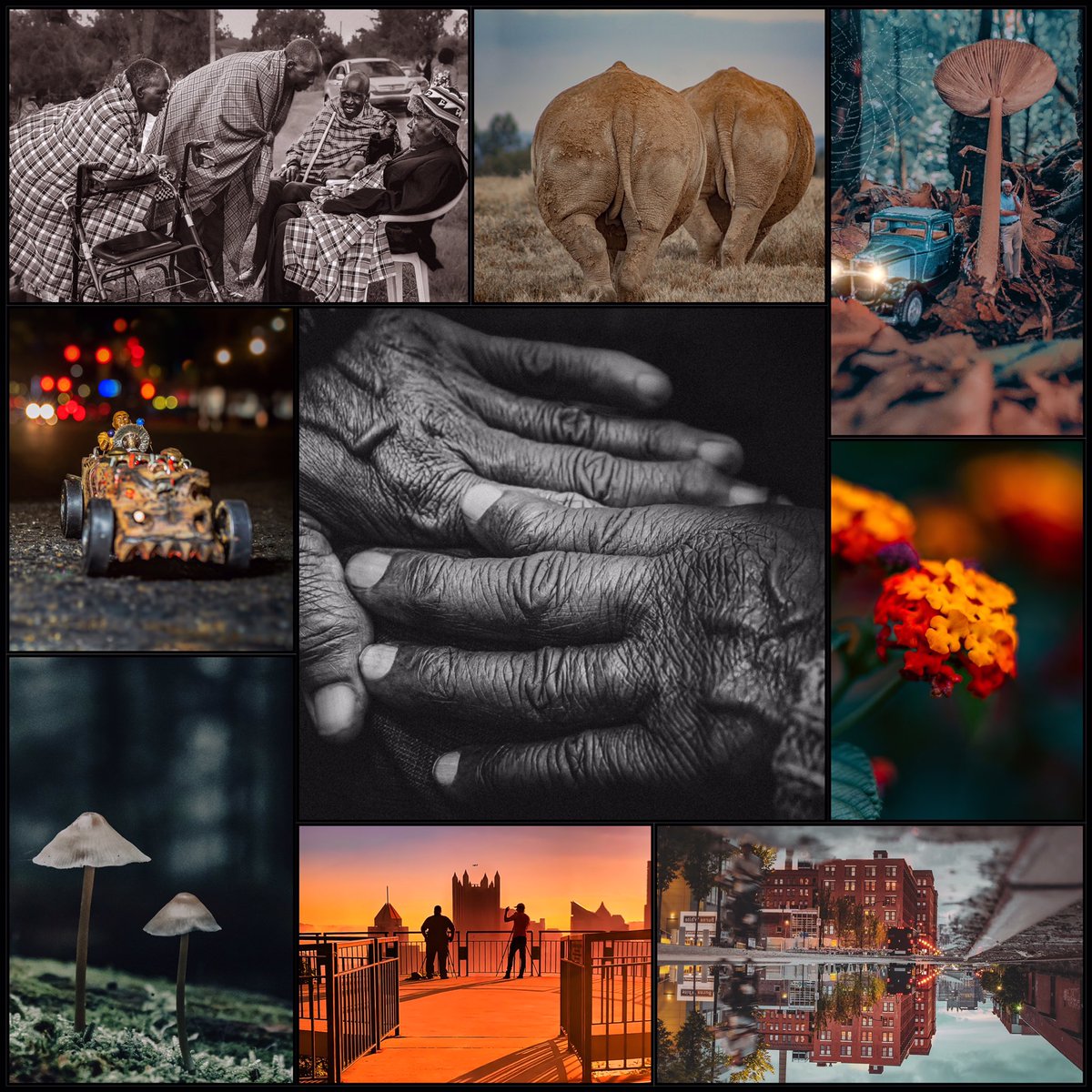 Hi Fren! GM GM!

My name is May! I am passionate about the art of photography. Nature is my guide! It informs my work. 

I love storytelling, documenting, working on personal growth &amp; the NFT space.

Check out my work available on the blockchain.
ETH &amp; Tezos

A 🧵
#NFTCollectors