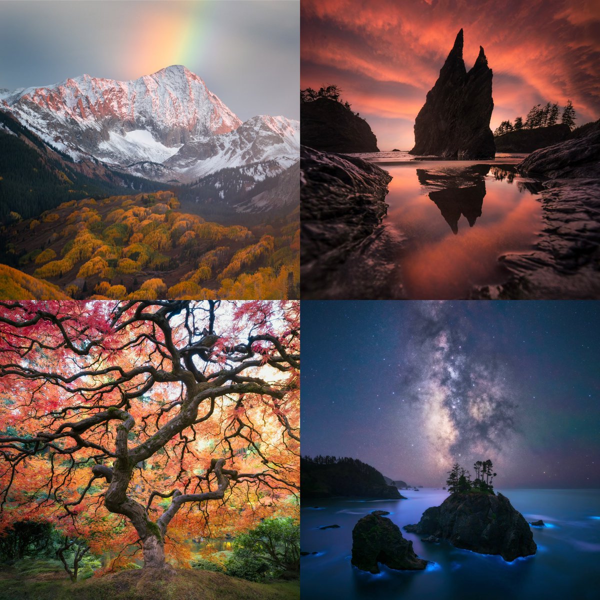 Appreciate all the support, likes and RTs over the past few days! Last few hours of my Print Store! Don’t miss out on these and more. I’ll never sell these again as prints online ever again once we close up shop! 📷

👇🏼👇🏼👇🏼👇🏼👇🏼👇🏼

krlphotoworkshops.com
