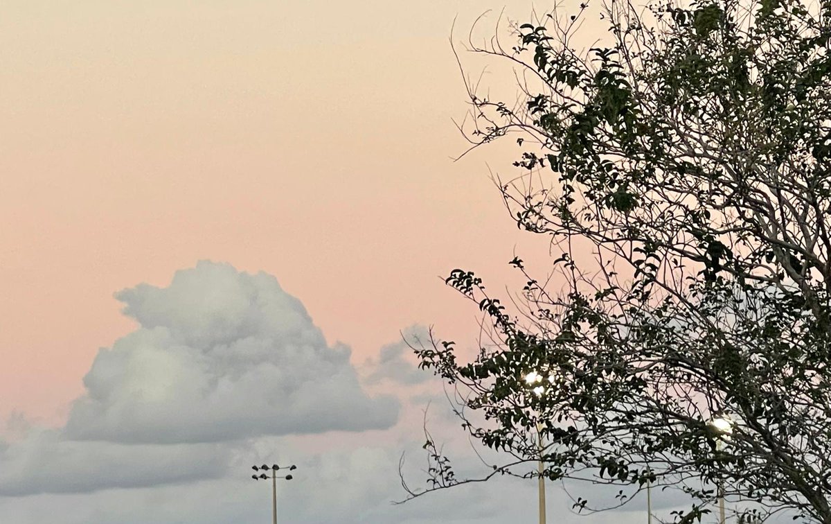 theiriewriter's tweet photo. My daughter and I share a love of nature and beautiful skyscapes. Enjoy these beautiful skyscapes in Florida from Gabrielle's camera roll. #fallskies  #naturephotography #skyscapes #Floridaskies #emptynester #daughtermompassions https://t.co/Lqg5fAfBJY