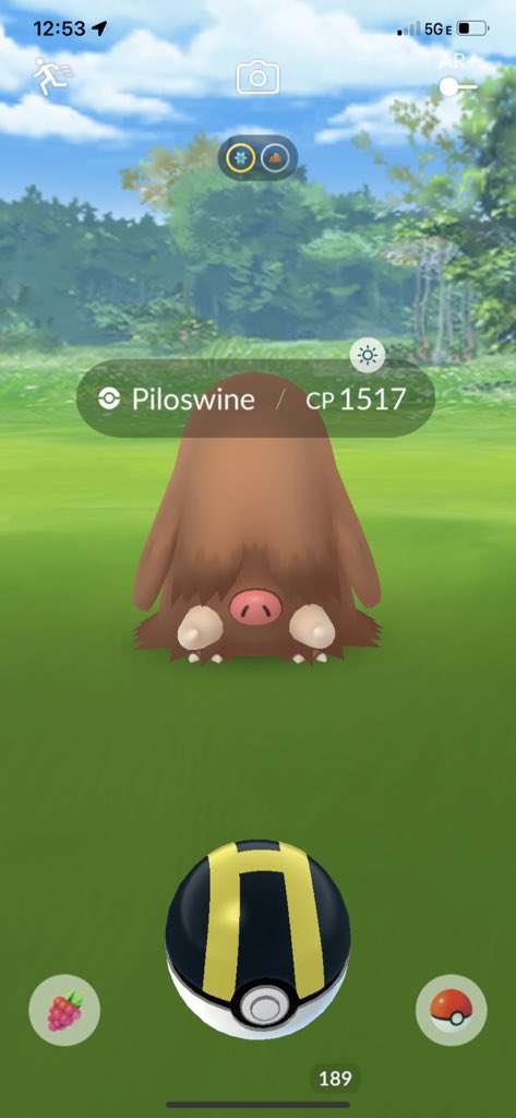 CmagsPOKE's tweet photo. WILD SPAWN WEDNESDAY! Share yโallโs wild spawns this week ๐ #wildspawnwednesday https://t.co/rRhJfmQpZa