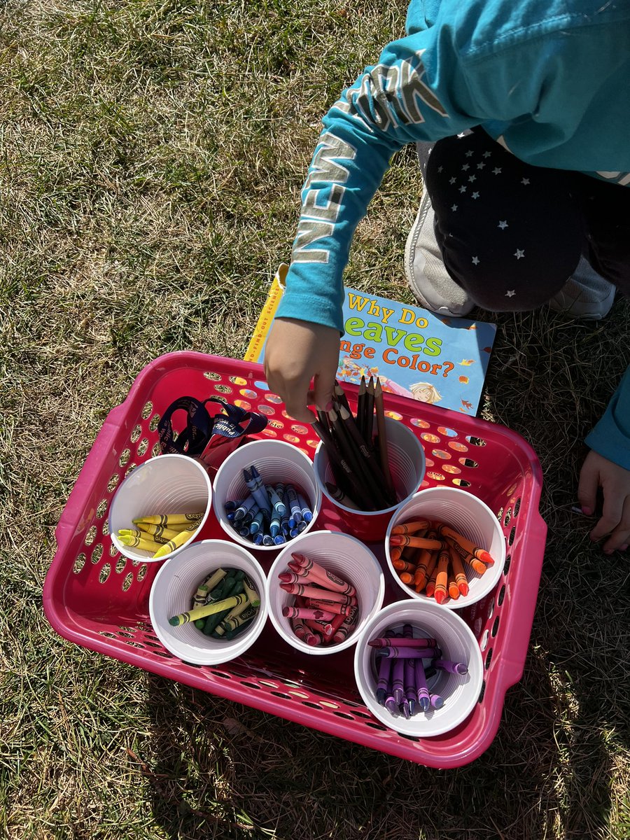 What a beautiful fall day! We took our science lesson outside to observe the stunning leaves in our school yard, compared the different types of trees, then ended by doing some calming landscape drawing to record what we saw.