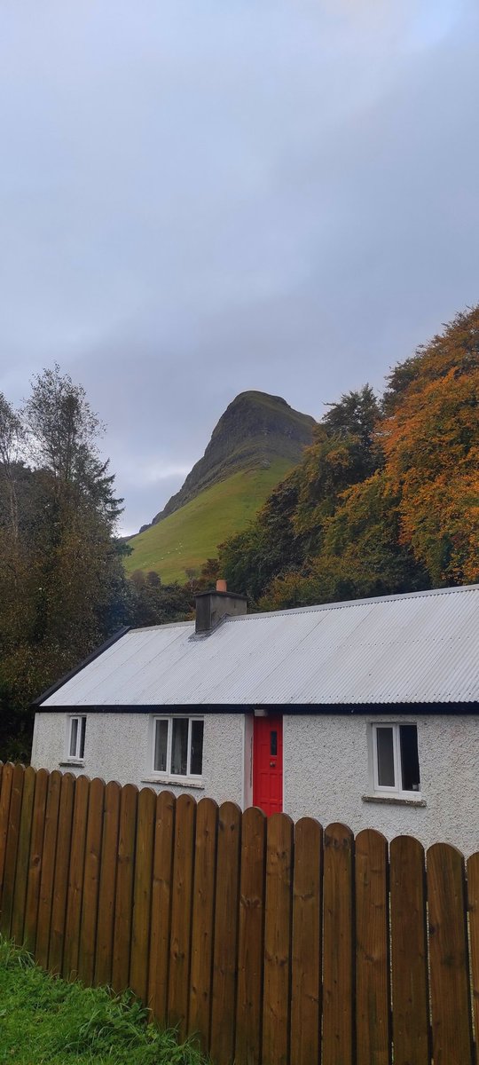 Marie_Casserly's tweet photo. Gortarowey Forest Walk has been included in the new #YeatsTrail, which also includes Slishwood, Dooney Rock, Union Wood, Deerpark, Hazelwood and Rathcarrick, as if we needed any more reasons to visit these unique locations. Well done @sligococo @CoillteOutdoors #Sligo #LoveSligo https://t.co/NTsOtkmoxg
