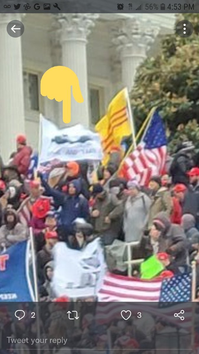 Nightvi17337331's tweet photo. @JusticeCat0106 @capitolresearc3 Is that the #SeditionFlags white canvas with a black cannon on it you were looking for? Can't make out writing. https://t.co/5j411LV36O
