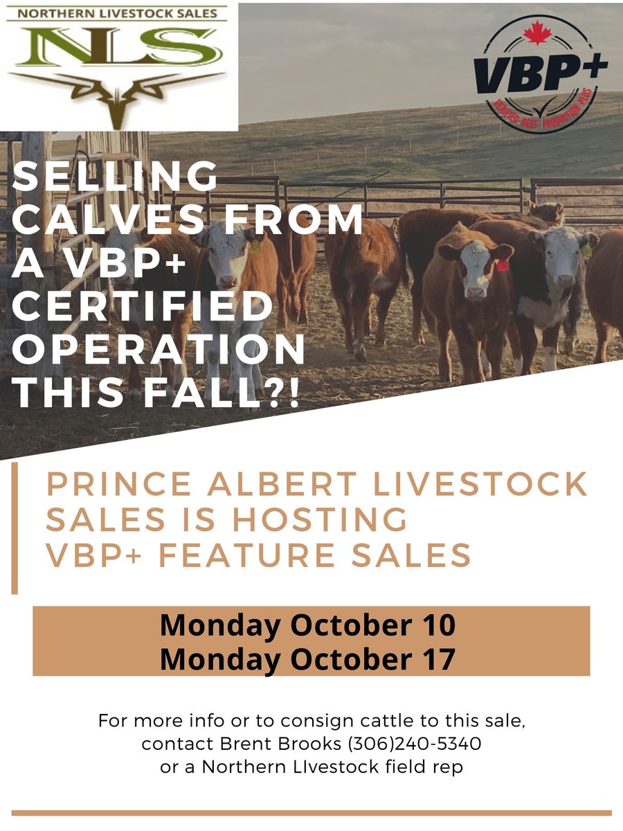 SASK VBP tweet media