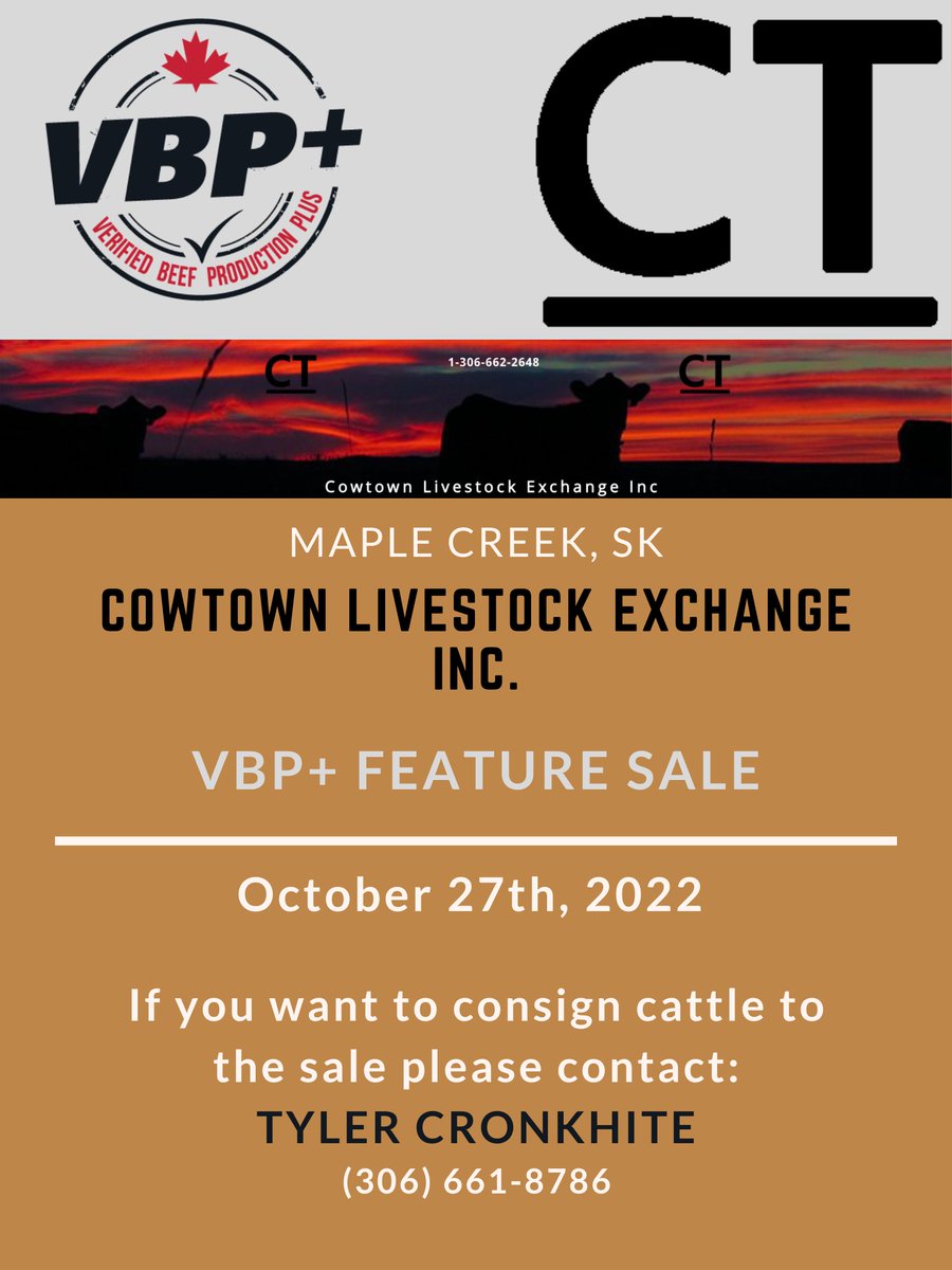 SASK VBP tweet media