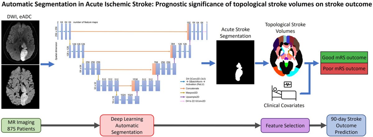Stroke AHA/ASA (@strokeaha_asa) on Twitter photo #OriginalResearch: Authors developed and trained deep learning with encoded rotation-reflection equivariance to accurately segment acute ischemic stroke lesions on DWI. Topological stroke volume also predicted 90-day function outcomes. ahajrnls.org/3rAmbQK @ghoshrx <a href="/JCummock/">Jonny Cummock</a> #OriginalResearch: Authors developed and trained deep learning with encoded rotation-reflection equivariance to accurately segment acute ischemic stroke lesions on DWI. Topological stroke volume also predicted 90-day function outcomes. ahajrnls.org/3rAmbQK @ghoshrx <a href="/JCummock/">Jonny Cummock</a>