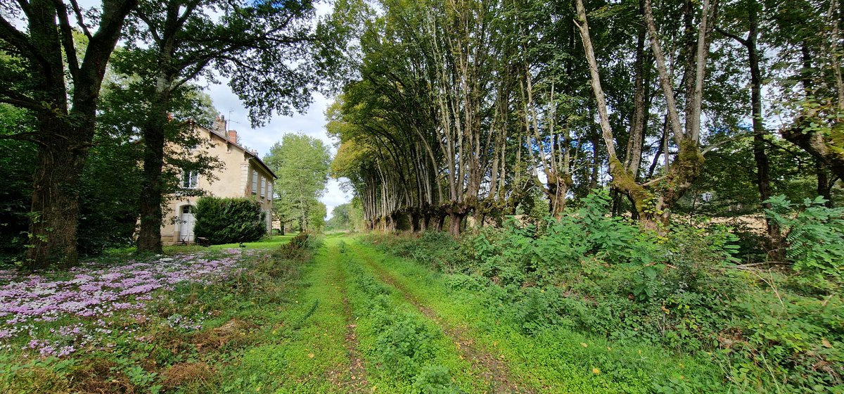 TransPod_Inc's tweet photo. 🚇🌳 #SustainableDevelopment is part of the DNA of #TransPod. To protect #biodiversity in Droux in @hautevienne_dep , we have established a compensatory afforestation by ensuring a concrete planting action that would last over time. 5.38 Ha planted for 1.5 Ha cleared . https://t.co/k4eBorGVhi