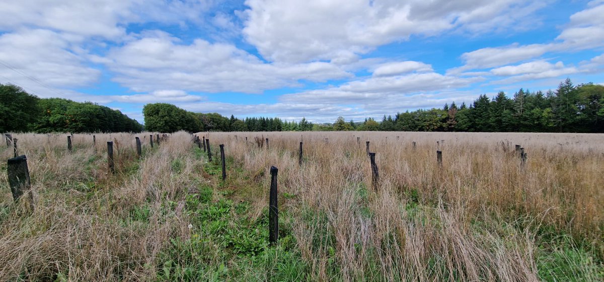 TransPod_Inc's tweet photo. 🚇🌳 #SustainableDevelopment is part of the DNA of #TransPod. To protect #biodiversity in Droux in @hautevienne_dep , we have established a compensatory afforestation by ensuring a concrete planting action that would last over time. 5.38 Ha planted for 1.5 Ha cleared . https://t.co/k4eBorGVhi