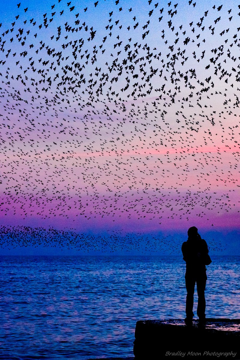 BradleyMoonNFT's tweet photo. @reverse_visuals Watching the Merge
It was a day to remember for the world and it's supporters, we can now fly higher than ever before.
0.02 $ETH
15/20 Editions
https://t.co/KpMx2gKUyF
#reverseshillthread https://t.co/bU8A76Mznr