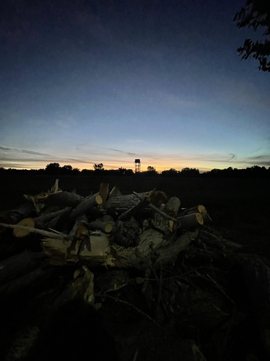 Chiamatemi Manuela. Qualche anno fa - non importa ch'io vi dica quanti - avendo poco o punto denaro in tasca e niente che particolarmente m'interessasse a terra, pensai di mettermi a tagliare legna per un po'.
#writing #taglialegna #incipit #joke #sunset #AutumnVibes #autumn