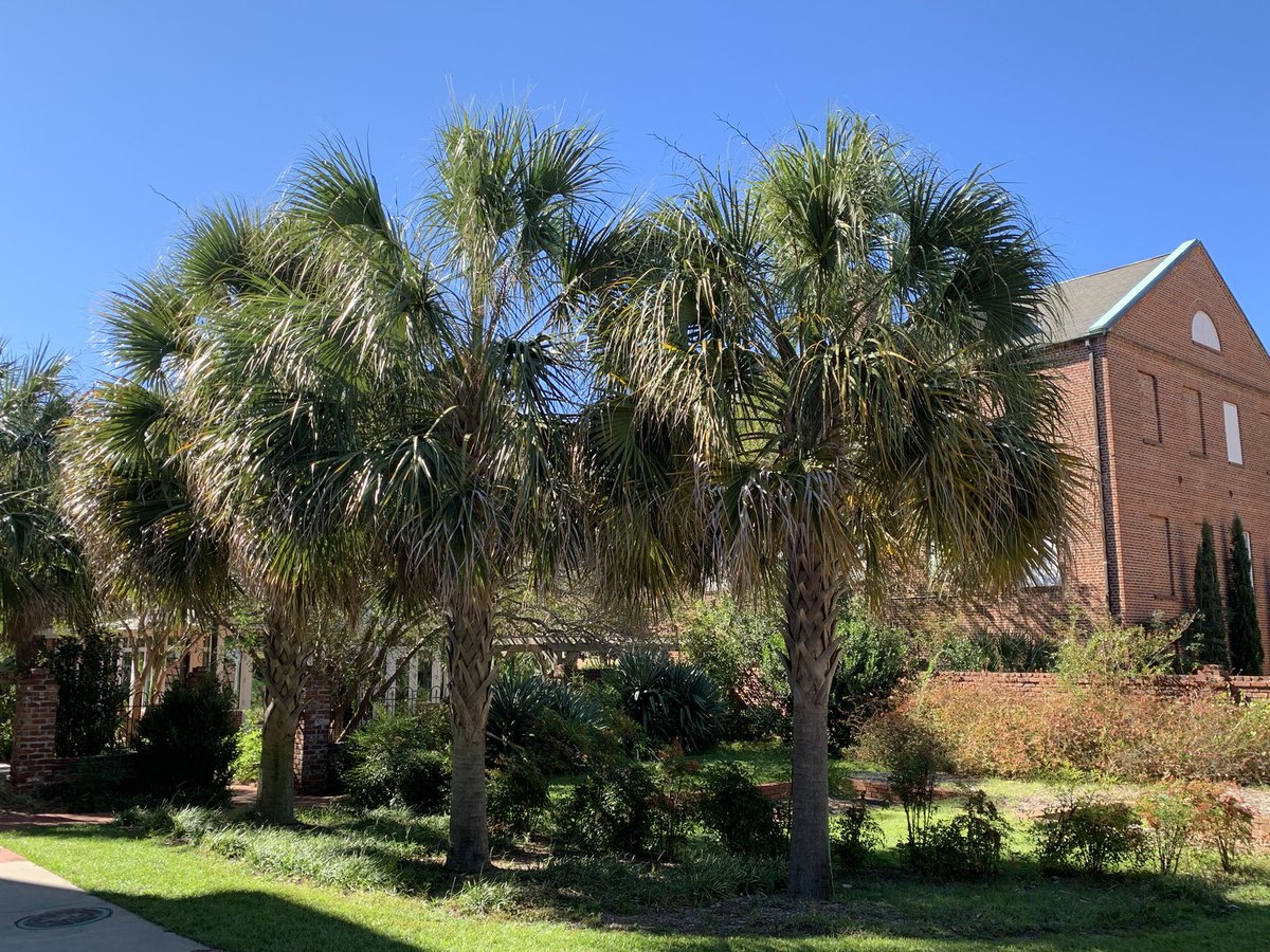 Alexey Petrov tweet media